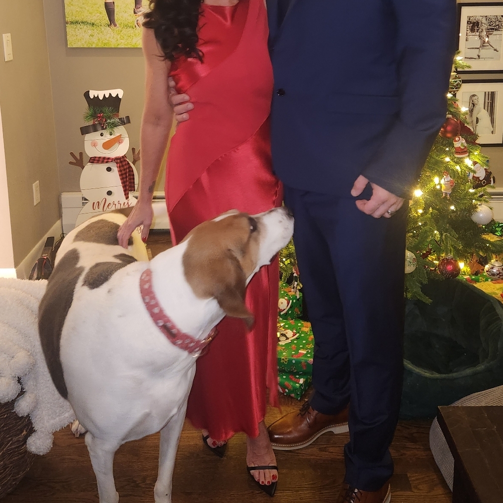 Rails Red Midi Dress